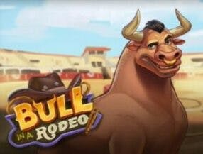 Bull in a Rodeo